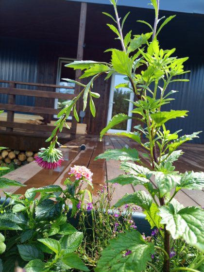  Простокашино домик №3