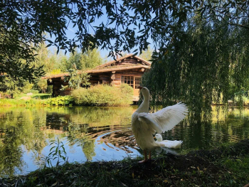 Деревянный дом — фото 9