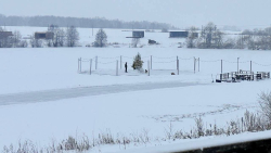 Коньки — фото 1