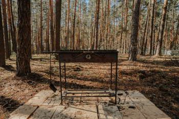 Комплекс из 2 А-фрейм домов — фото 13