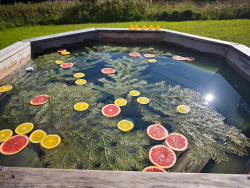 Горячий чан — фото 1