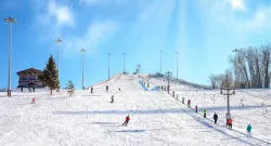 Лыжи — фото 1