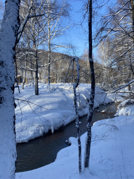 Барнхаус N 3 — фото 9