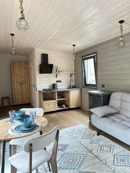 Сканди (дом студия) — фото 3