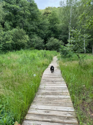 Лох Бро — фото