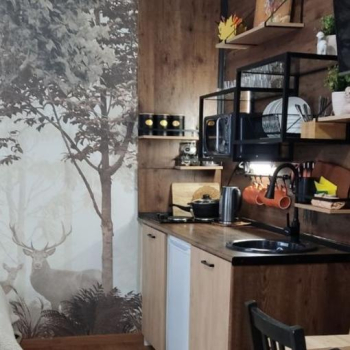 Домик-Студия  — фото 8