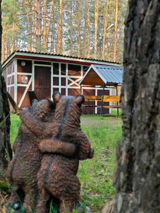 Домик в лесу — фото