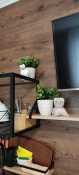 Домик-Студия  — фото 16