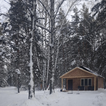 Домик  Березка — фото 16