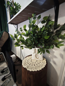 Домик  Березка — фото 17