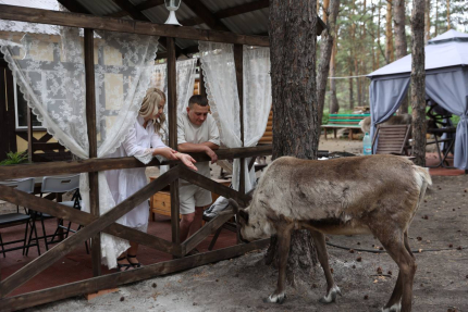 Домик в лесу — фото