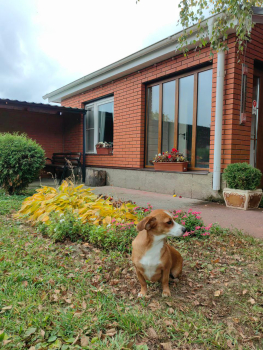 Дом вместимостью до 6 гостей — фото 1