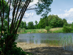 Водоем — фото 3