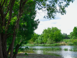 Водоем — фото 4