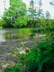 Водоем — фото 5