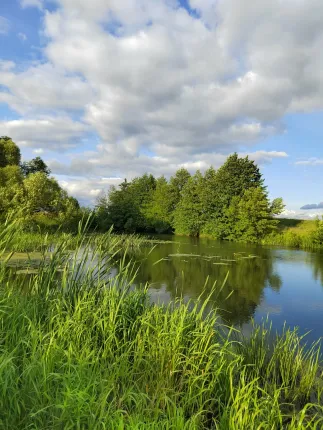 RIVERLAND — фото