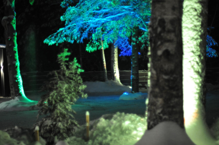 Хутор Троллей — фото