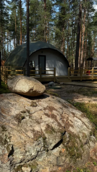 Лесной у леса с купелью — фото 2