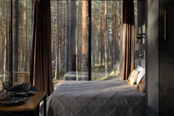 Зеркальный дом (Проживание без животных и детей) — фото 3