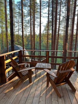 Сфера ( возможно проживание с котом или другим животным) — фото 1