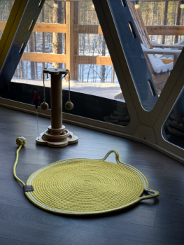 Сфера ( возможно проживание с котом или другим животным) — фото 5