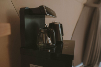 Сфера ( возможно проживание с котом или другим животным) — фото 6