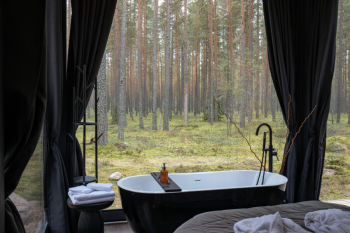 Дзен с видовой ванной ( проживание без животных и детей) — фото 1