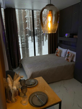 Зеркальный дом (Проживание без животных и детей) — фото 10