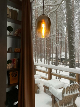 Зеркальный дом (Проживание без животных и детей) — фото 11