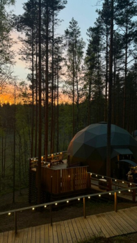 Сфера ( возможно проживание с котом или другим животным) — фото 9