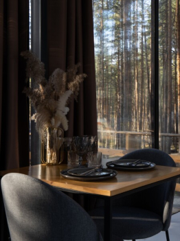 Зеркальный дом (Проживание без животных и детей) — фото 4