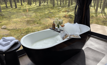 Дзен с видовой ванной ( проживание без животных и детей) — фото 11