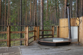 Лодж с купелью — фото 12