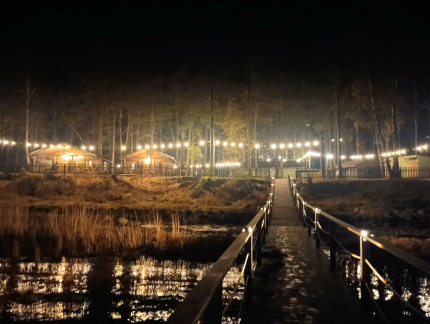 Янтарный берег — фото