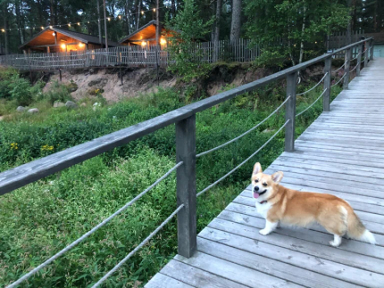 Янтарный берег — фото