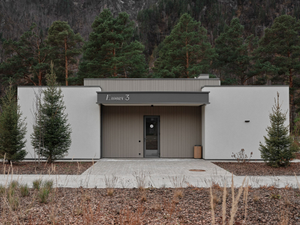 Грушевый цвет — фото