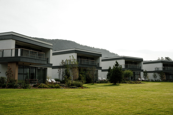 Грушевый цвет