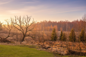 А-фрейм  № 3 на 8 гостей — фото 42