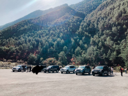 Экскурсии — фото 5