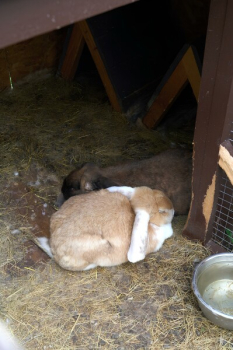 Сканди №11 Вода — фото 14