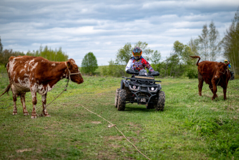 A-frame №2 Тишина — фото 15