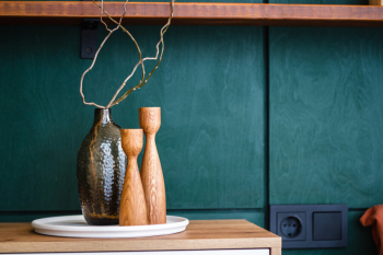 Сканди 12 — фото 11