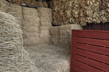 БарнХаус Яхрома — фото 13