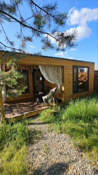 Уютное гнездышко — фото 1