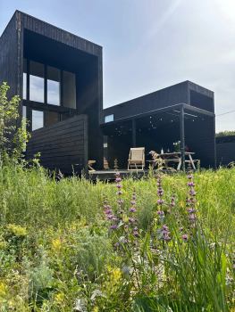 Сканди-дача №1 — фото 1