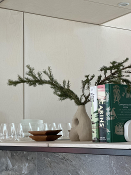 Сканди-дача №2 — фото 4