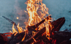 Костровая зона — фото 1