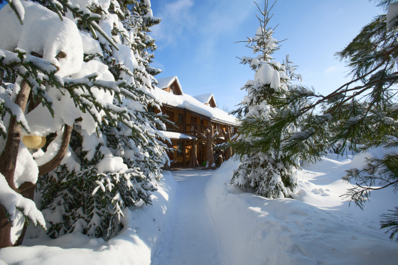 Хомяковское подворье