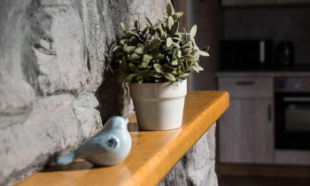 Дом охотника с баней — фото 5