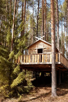 Парк отель Сямозерье — фото